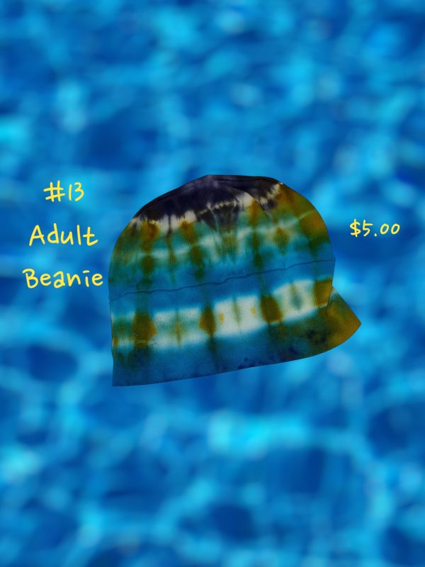 Adult Beanie - #13