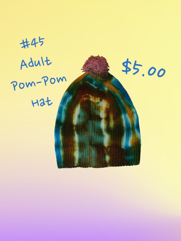 #45 - Adult Pom-Pom Hat